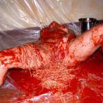 ������ � ���1