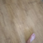 ���� ����� ���� �� ������� ������