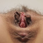 �������� �����