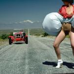 �������� �����������