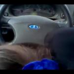 �������� �����.