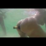 ������� � �������� � �������