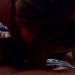 ���� �������