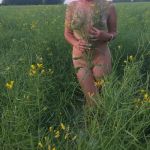 ���������� � ����