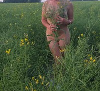 ���������� � ����