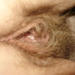 �������� ����