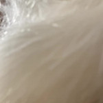 ���������� ����� �����