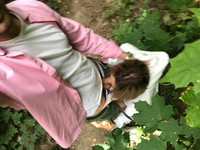 ������������ ����� � ���