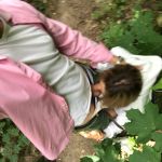 ������������ ����� � ���