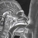 �������� ������