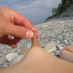 ������� � �������������