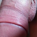 �������� �����