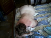 �. ������