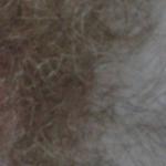 ��� �����