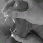 ������ �����.