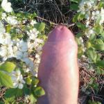 �������� �����