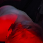 ���� ���� ���