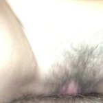 ����� ������� ������ � ��������� �� ������