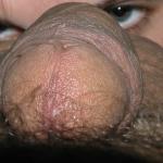 ������� �����������