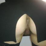 ������� ����� ���� �������