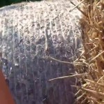 �������� � ����