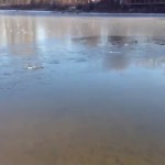 �� ������ �����