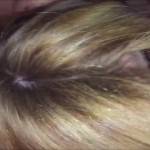 �������� ������ �� ����