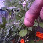 ��� �� ���������� ���� � �����.