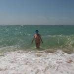 ������� �����������