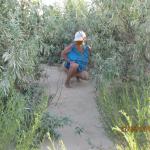 ����� ��������