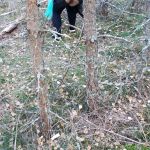 � ��� �� �����������