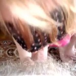 ������ �����-2