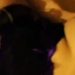 ���������� �������