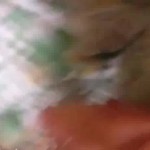 �� ����� � ���