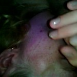 ���� �� ����