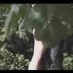 � ������ �� ����������!