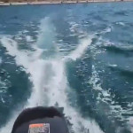 ����-�����