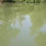 �� ����� 1