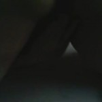 ���� ����� ������ �������