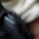 ��� � ��� �������