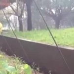 ���� � ���������