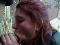 ������������� ������