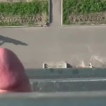 ������ ���������