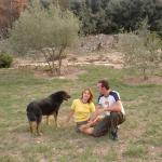 ������ ������