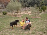 ������ ������