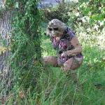 �������� �������