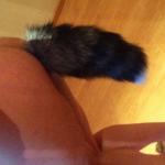 ���� ��������