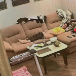 ��� �������� �� ������.