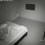 �������� �����.