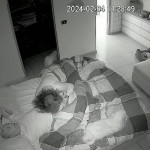 ������� � ���������,